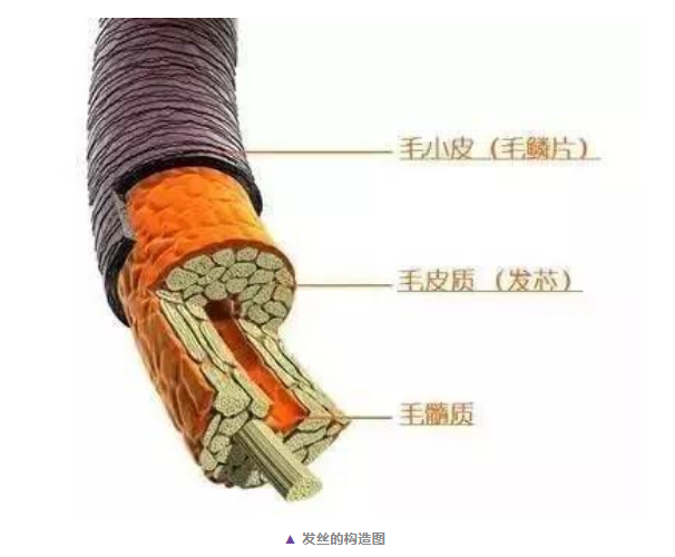 貴陽市硅油：我不是魔鬼 | 冤枉錢終點站